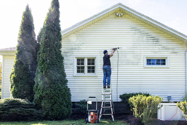 Best Building Exterior Washing  in South River, NJ